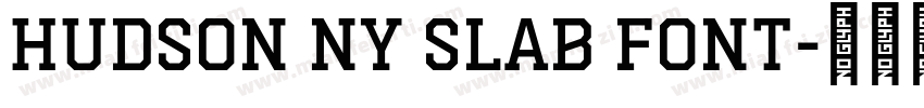 Hudson NY Slab font字体转换